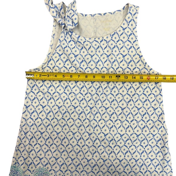 Lilly Pulitzer Blue and Pink Mini Dress - Picture 11 of 11